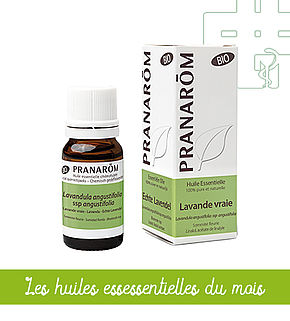 Huile essentielle lavande vraie - 10ml