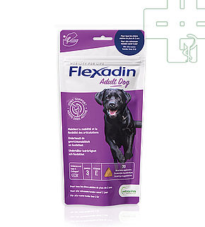 Flexadin Adult Dog - 70 bouchées