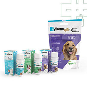 Zylkene Chiens et chats